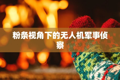 粉条视角下的无人机军事侦察