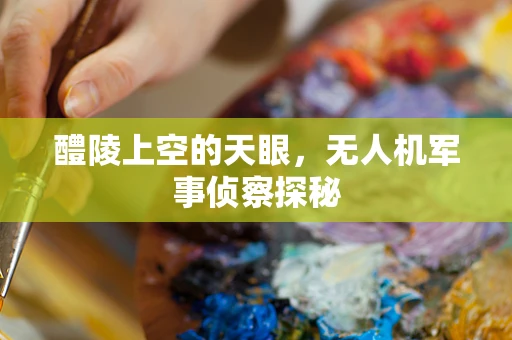醴陵上空的天眼，无人机军事侦察探秘