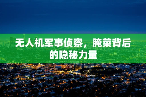 无人机军事侦察，腌菜背后的隐秘力量