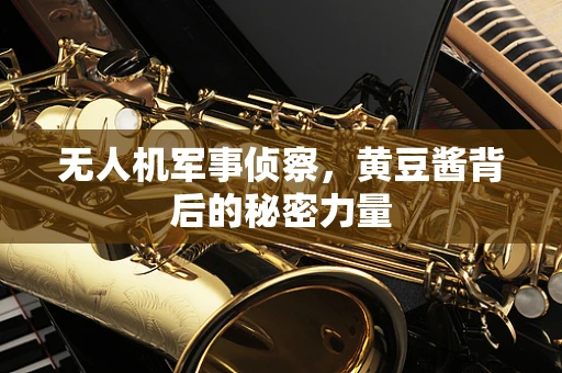 无人机军事侦察，黄豆酱背后的秘密力量