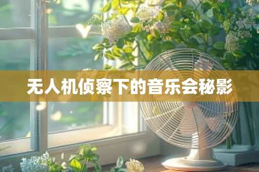 无人机侦察下的音乐会秘影