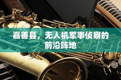 嘉善县，无人机军事侦察的前沿阵地