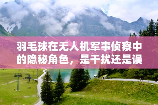 羽毛球在无人机军事侦察中的隐秘角色，是干扰还是误导？