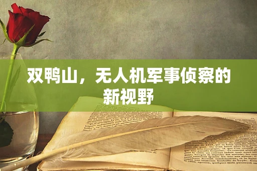 双鸭山，无人机军事侦察的新视野