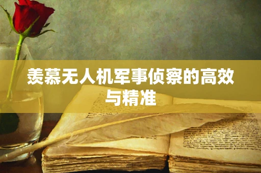 羡慕无人机军事侦察的高效与精准