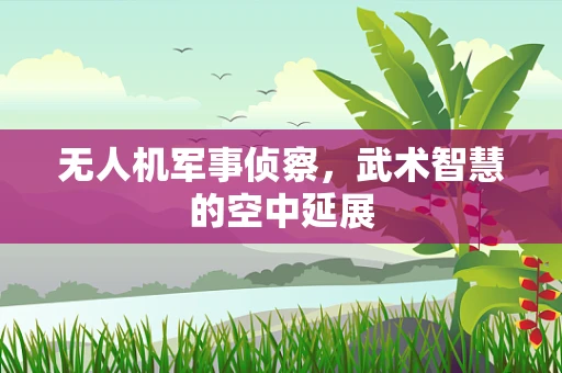 无人机军事侦察，武术智慧的空中延展