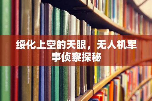 绥化上空的天眼，无人机军事侦察探秘