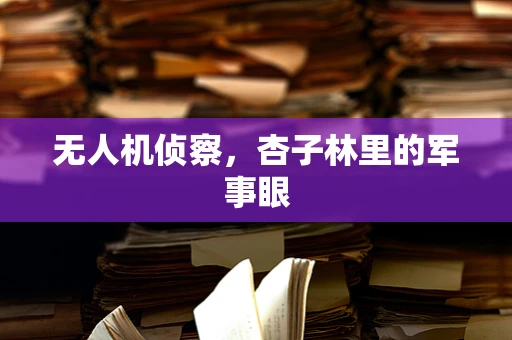 无人机侦察，杏子林里的军事眼