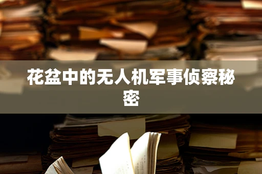 花盆中的无人机军事侦察秘密