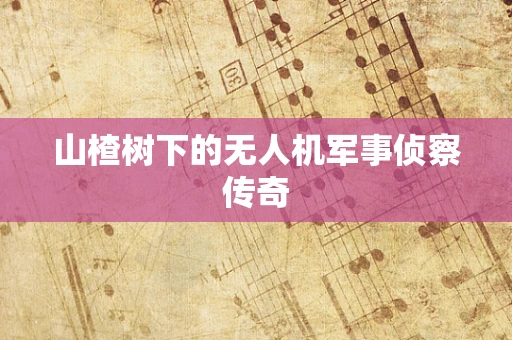 山楂树下的无人机军事侦察传奇