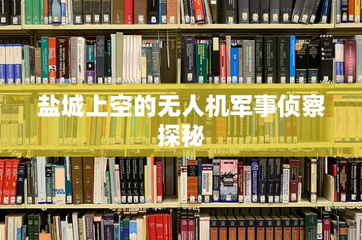 盐城上空的无人机军事侦察探秘