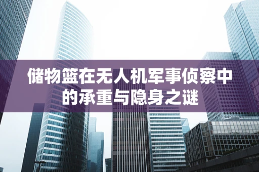 储物篮在无人机军事侦察中的承重与隐身之谜