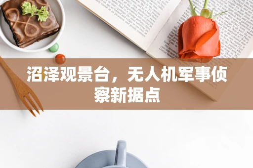 沼泽观景台，无人机军事侦察新据点