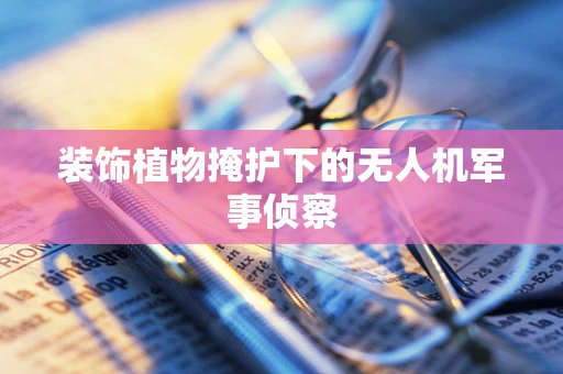 装饰植物掩护下的无人机军事侦察