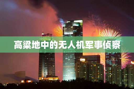 高粱地中的无人机军事侦察