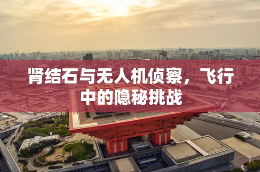 肾结石与无人机侦察，飞行中的隐秘挑战