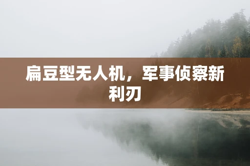 扁豆型无人机，军事侦察新利刃
