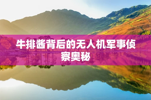 牛排酱背后的无人机军事侦察奥秘