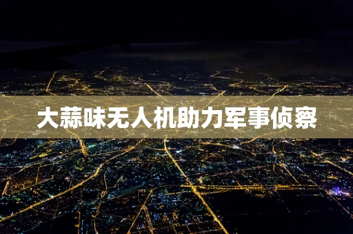 大蒜味无人机助力军事侦察