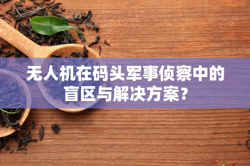 无人机在码头军事侦察中的盲区与解决方案？