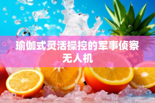 瑜伽式灵活操控的军事侦察无人机