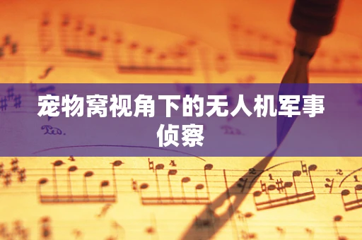 宠物窝视角下的无人机军事侦察