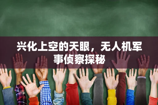 兴化上空的天眼，无人机军事侦察探秘