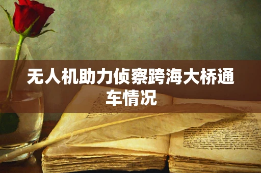 无人机助力侦察跨海大桥通车情况
