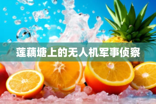 莲藕塘上的无人机军事侦察
