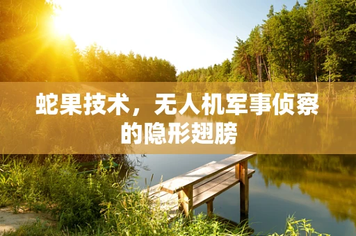 蛇果技术，无人机军事侦察的隐形翅膀