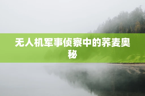 无人机军事侦察中的荞麦奥秘