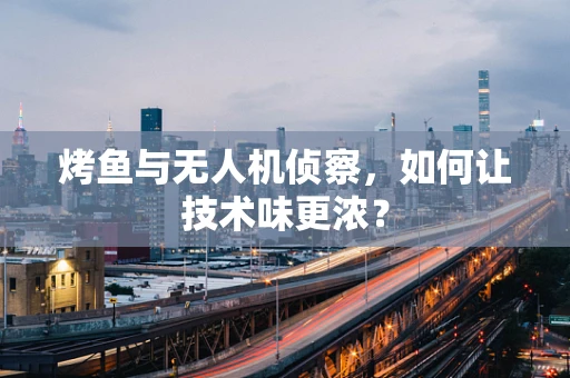 烤鱼与无人机侦察，如何让技术味更浓？