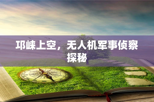 邛崃上空，无人机军事侦察探秘