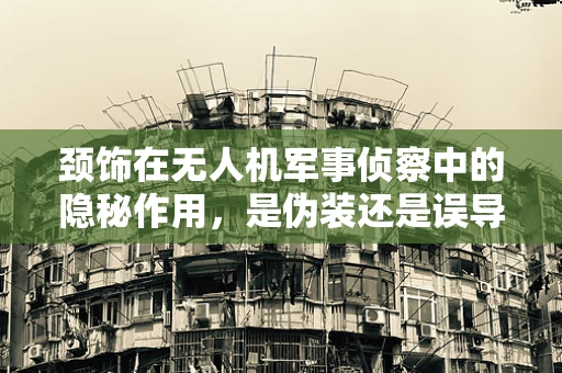 颈饰在无人机军事侦察中的隐秘作用，是伪装还是误导？