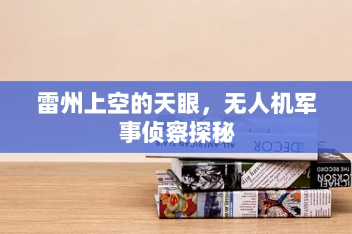 雷州上空的天眼，无人机军事侦察探秘