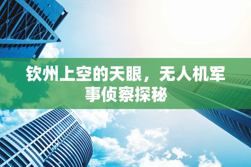 钦州上空的天眼，无人机军事侦察探秘
