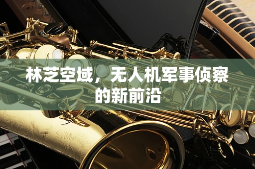 林芝空域，无人机军事侦察的新前沿