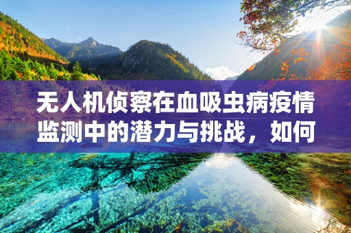 无人机侦察在血吸虫病疫情监测中的潜力与挑战，如何精准识别疫区？