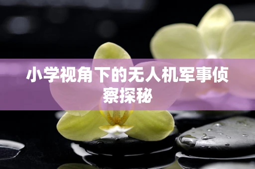 小学视角下的无人机军事侦察探秘