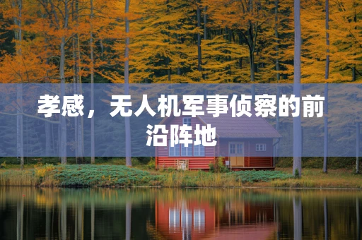 孝感，无人机军事侦察的前沿阵地