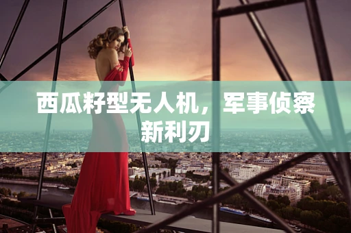西瓜籽型无人机，军事侦察新利刃