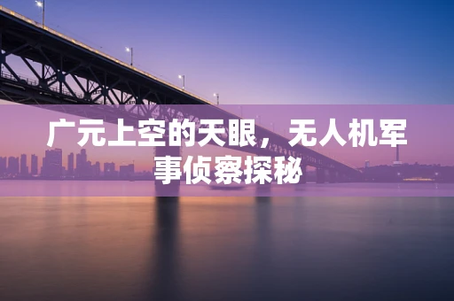 广元上空的天眼，无人机军事侦察探秘