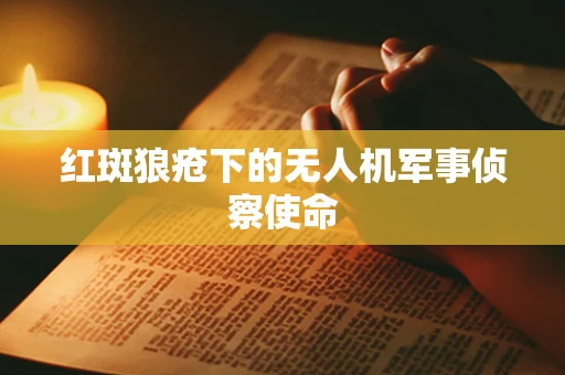 红斑狼疮下的无人机军事侦察使命