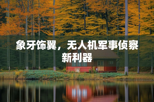 象牙饰翼，无人机军事侦察新利器