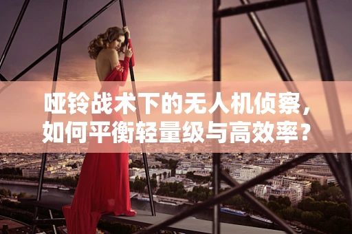哑铃战术下的无人机侦察，如何平衡轻量级与高效率？