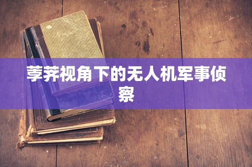 荸荠视角下的无人机军事侦察