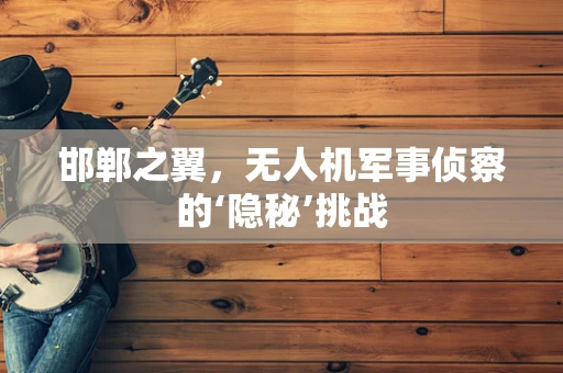 邯郸之翼，无人机军事侦察的‘隐秘’挑战