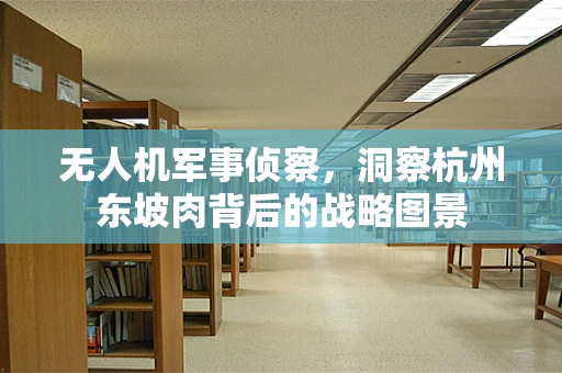 无人机军事侦察，洞察杭州东坡肉背后的战略图景