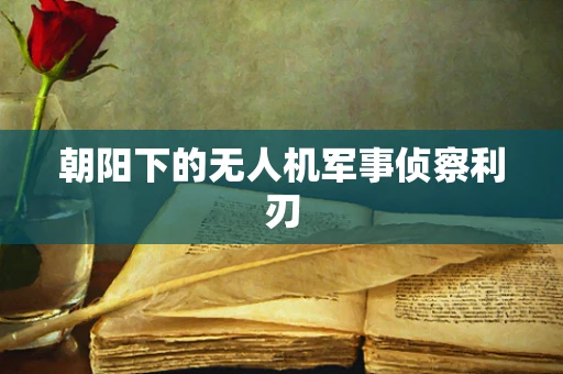 朝阳下的无人机军事侦察利刃