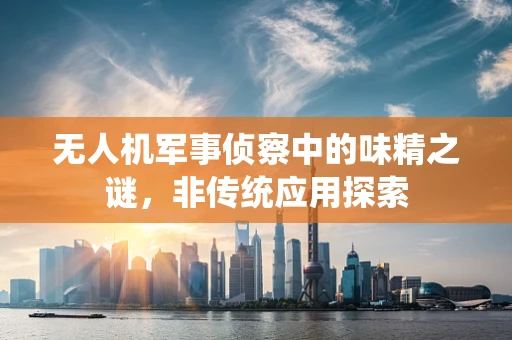 无人机军事侦察中的味精之谜，非传统应用探索